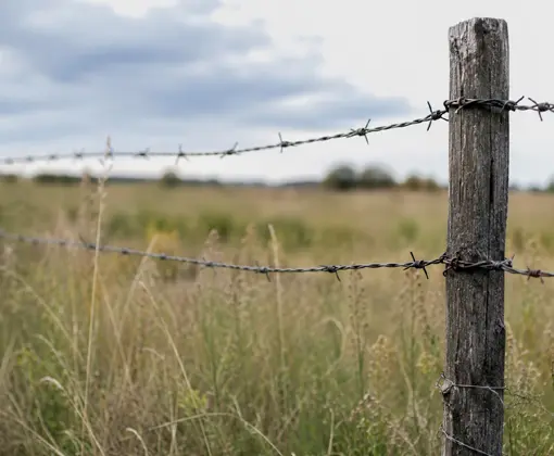 Barbed Wire