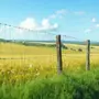 Farm Fencing